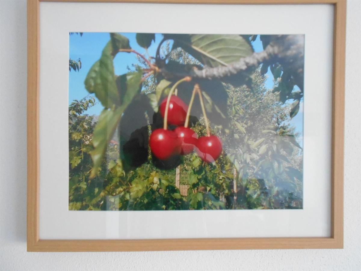 Apartment Cherry Kaštela 외부 사진